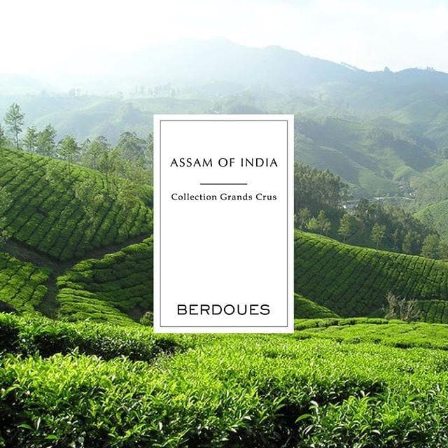 ASSAM OF INDIA - Mini spray