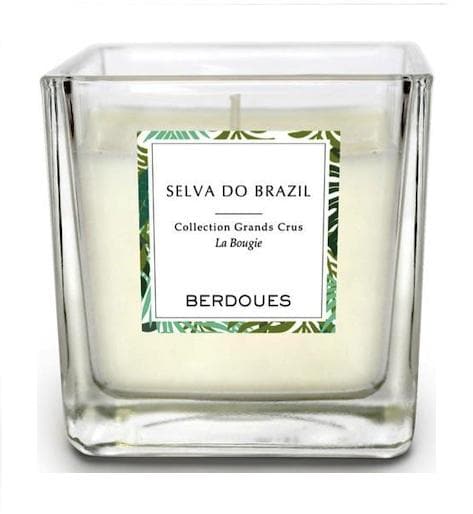 Candle Selva Do Brazil